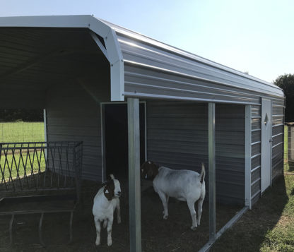 18x20 Livestock Shelter, 10' enclosed.