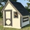 4x6 Chicken House - Image 6
